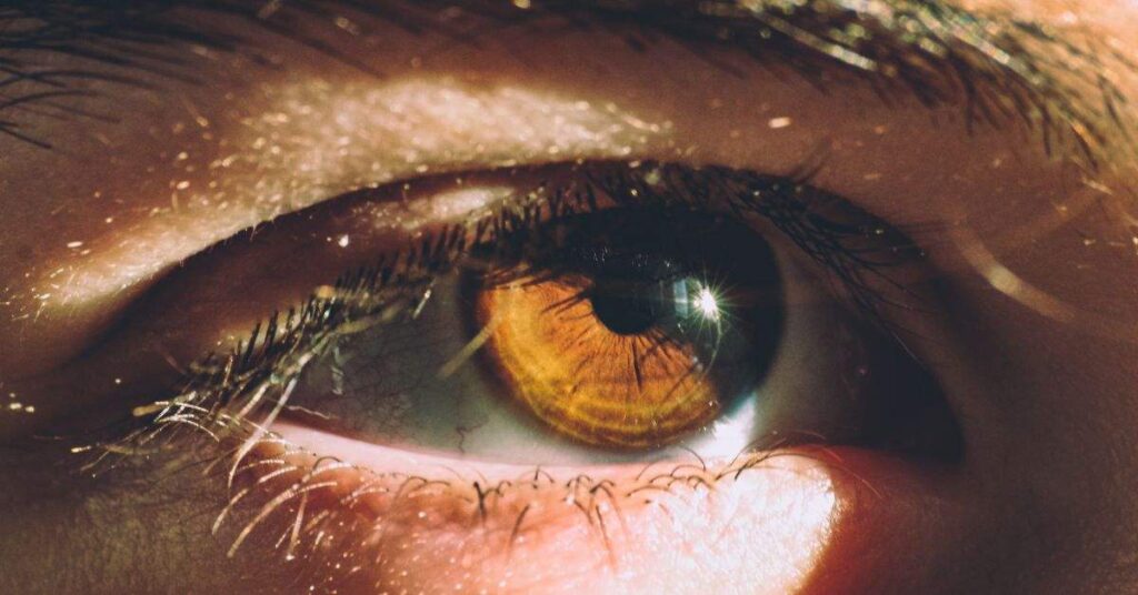 Close-up of a human eye with detailed iris and light reflection.