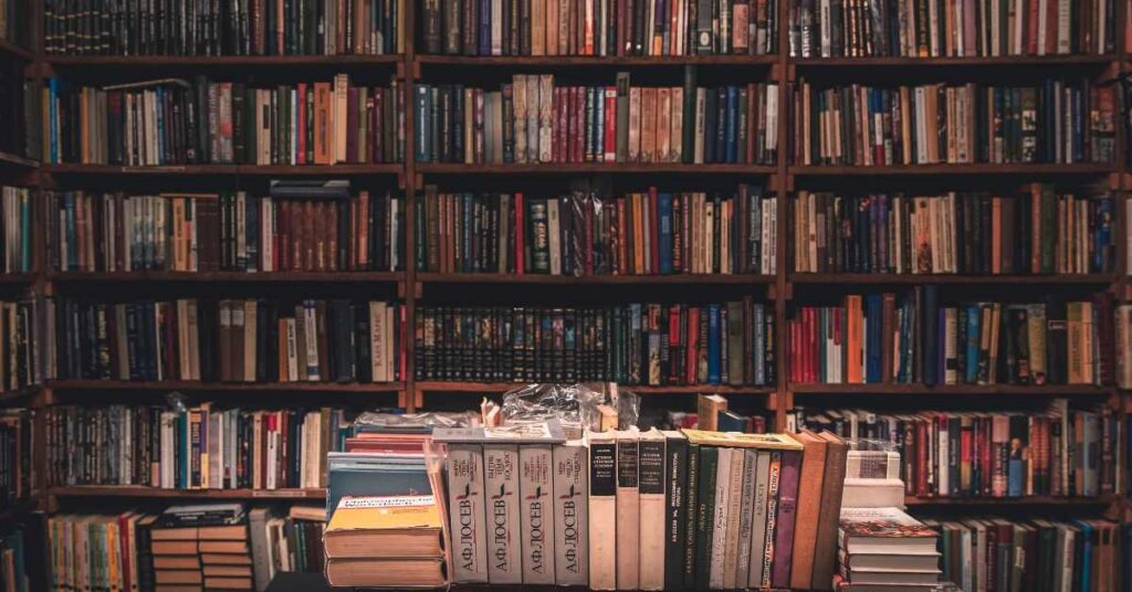 Bookshelves filled with books in a cozy library room